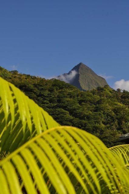 Le Relais De La Maroto Hotell Pirae Eksteriør bilde